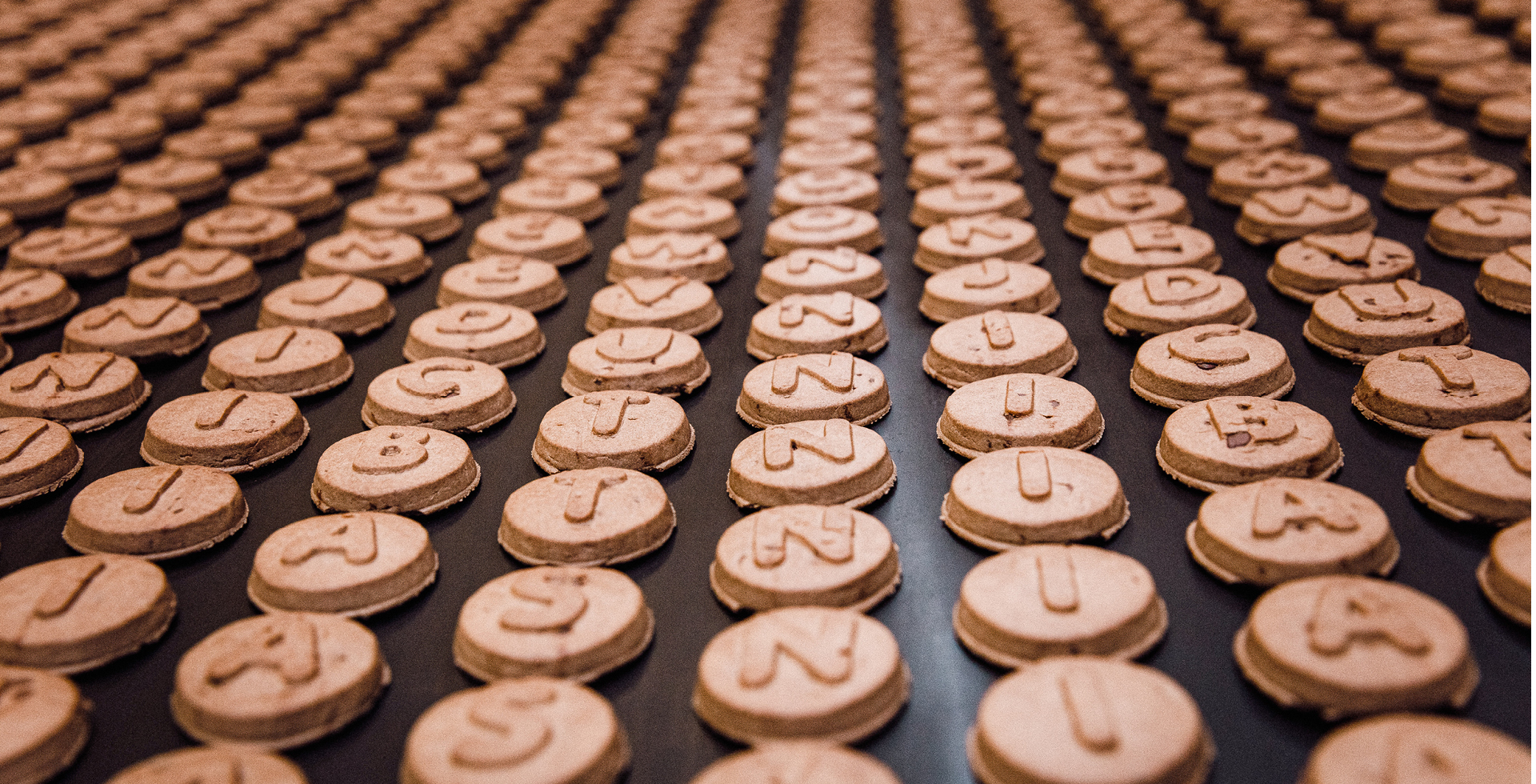 Kakaokekse mit Buchstabenmotiven laufen über ein Förderband