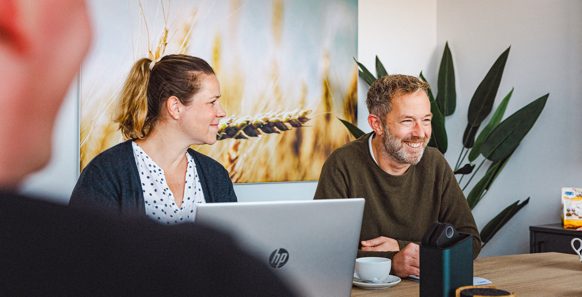 Personen im Meeting, zwei lächeln, Frau mit Laptop, im Hintergrund Bild von Weizen und Pflanze