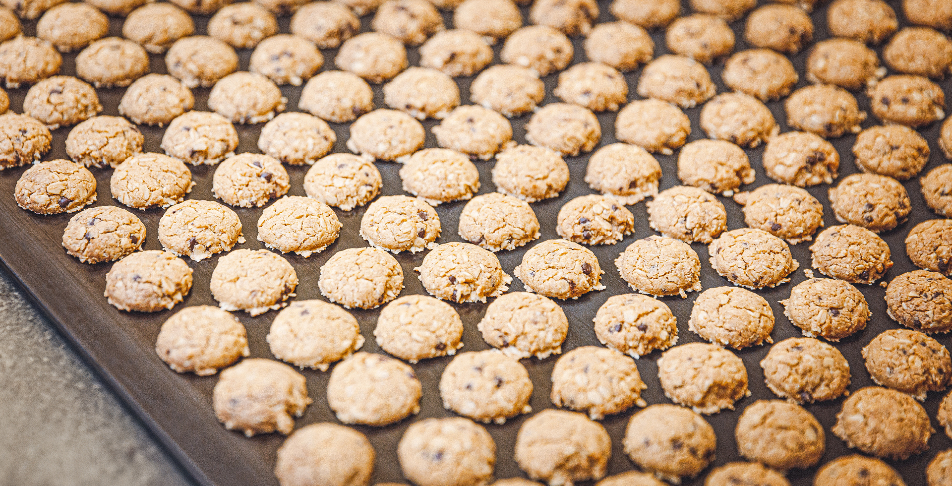 Kernige Haferkekse mit Schokoladenstücken laufen über ein Förderband