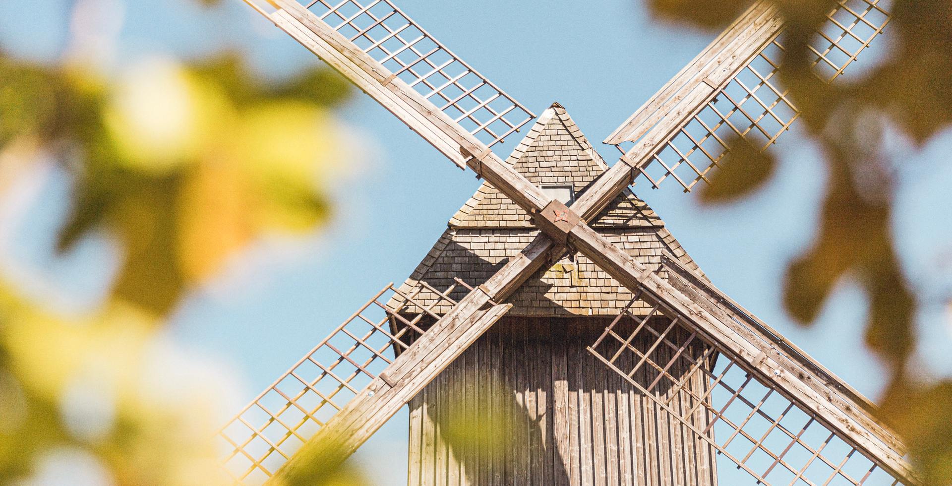 Die Sorgenser Bockwindmühle an einem sonnigen Tag, umrahmt von unscharfen Blättern im Vordergrund